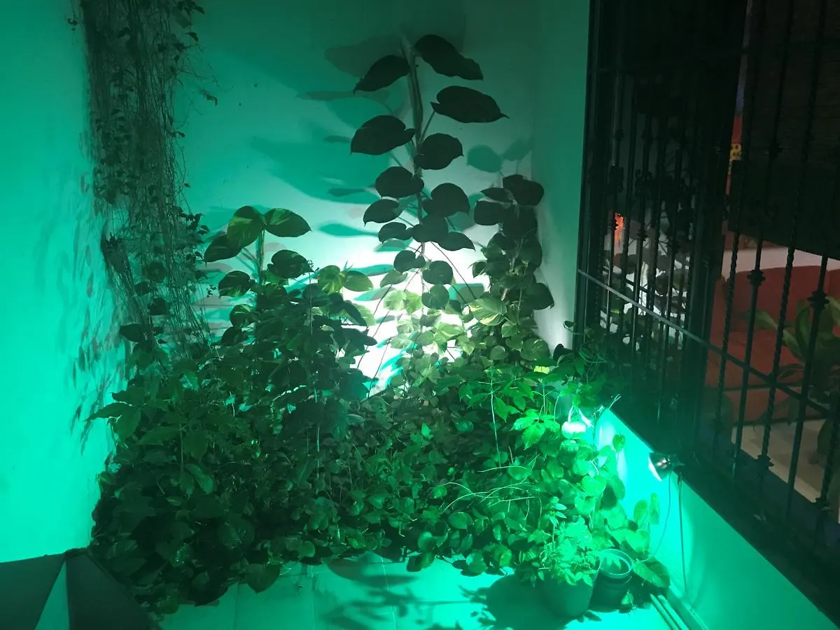 Vakantiehuis Casa Jaguar Villa Cancún